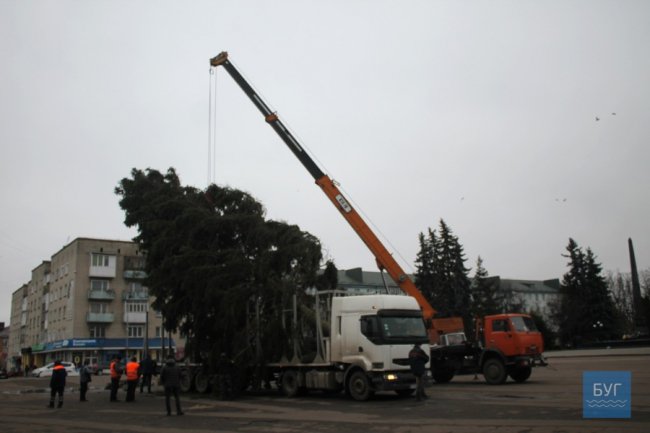 Як цьогоріч прикрасять головну ялинку у Володимирі