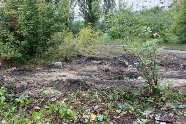 Під вікнами луцької багатоповерхівки ‒ стихійне сміттєзвалище. ФОТО