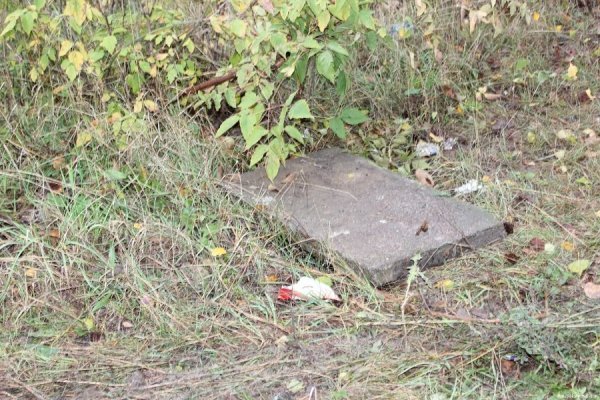 Під вікнами луцької багатоповерхівки ‒ стихійне сміттєзвалище. ФОТО