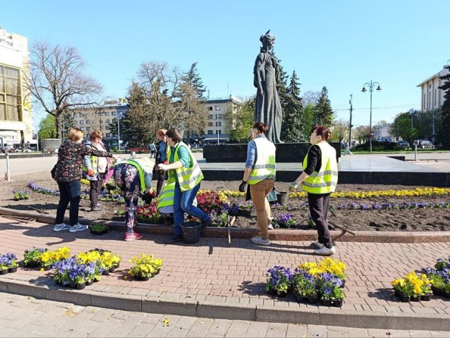 Озеленення Луцька: як комунальники наводять лад на клумбах і в парках