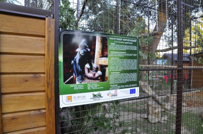 У Луцькому зоопарку – поповнення. ФОТО