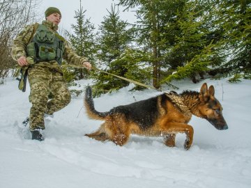 Біля кордону на Волині затримали озброєного мисливця-нелегала