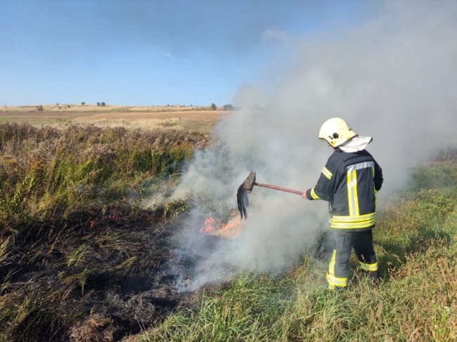 Поблизу Луцька пожежа охопила пів гектара