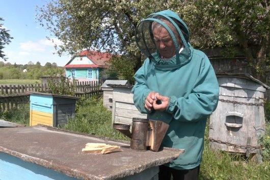 «Поки не вмру, бджіл не покину»: 84-річний пасічник з Волині доглядає 25 вуликів. ВІДЕО