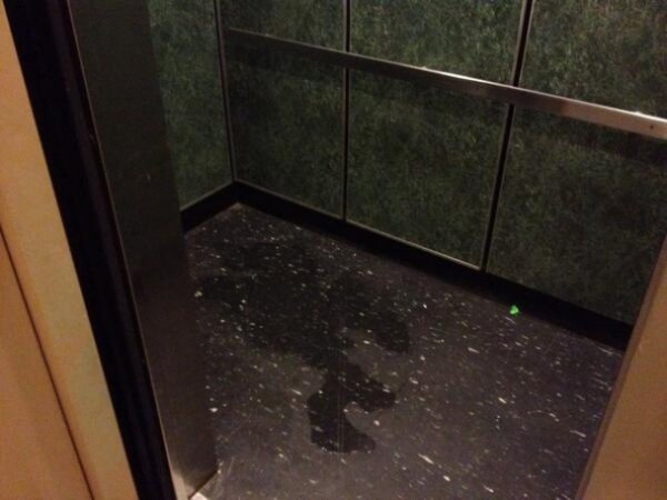 Інтернет сміється з селфі Медведєва. ФОТО