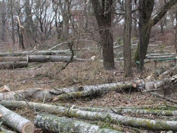На Волині зловмисники залишили сани з краденим лісом