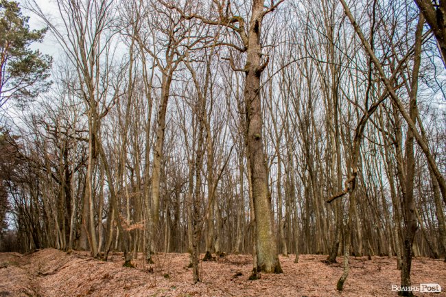 Перший день весни у «волинській Швейцарії». ФОТОРЕПОРТАЖ