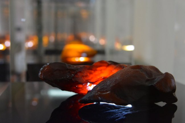 У Волиньраді – виставка бурштину, який згодом планують продати на аукціоні 