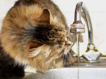 Як очистити воду з крана вдома: 5 способів