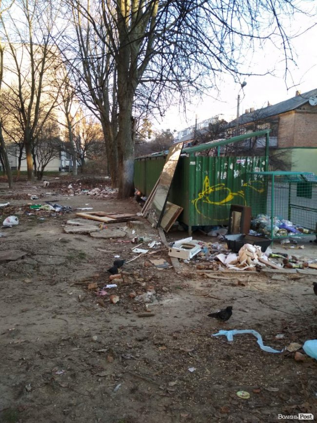 На луцькій вулиці тижнями не вивозять сміття. ФОТО