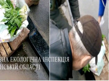 На Волині екологи «ловили» продавців черемші 