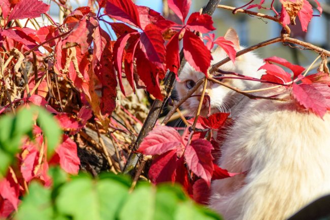 Де у Луцьку та районі можна зробити круті осінні фото: ТОП локацій