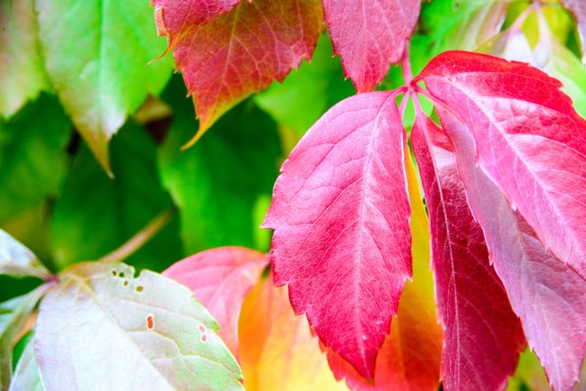 Де у Луцьку та районі можна зробити круті осінні фото: ТОП локацій