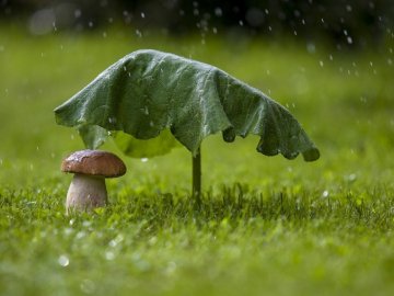 Погода у Луцьку та Волинській області на завтра, 16 червня