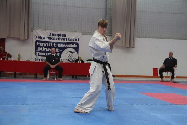 Луцькі каратисти привезли з Угорщини «золото» і «срібло». ФОТО