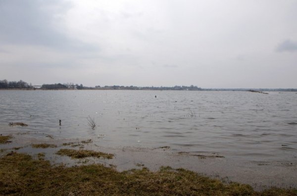 Під Луцьком підтоплює села. ФОТО