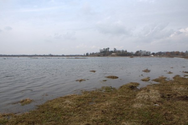 Під Луцьком підтоплює села. ФОТО