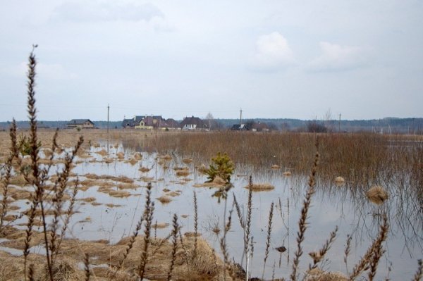Під Луцьком підтоплює села. ФОТО