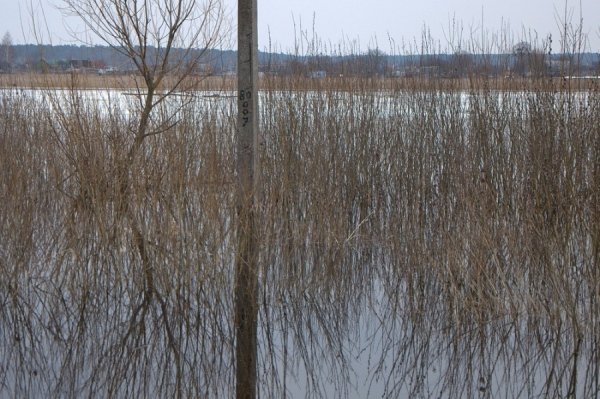 Під Луцьком підтоплює села. ФОТО