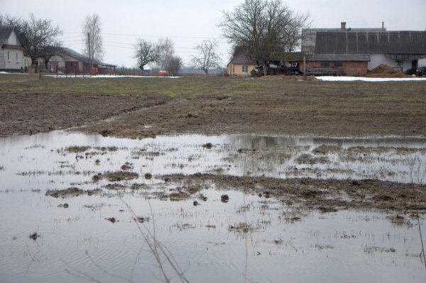 Під Луцьком підтоплює села. ФОТО