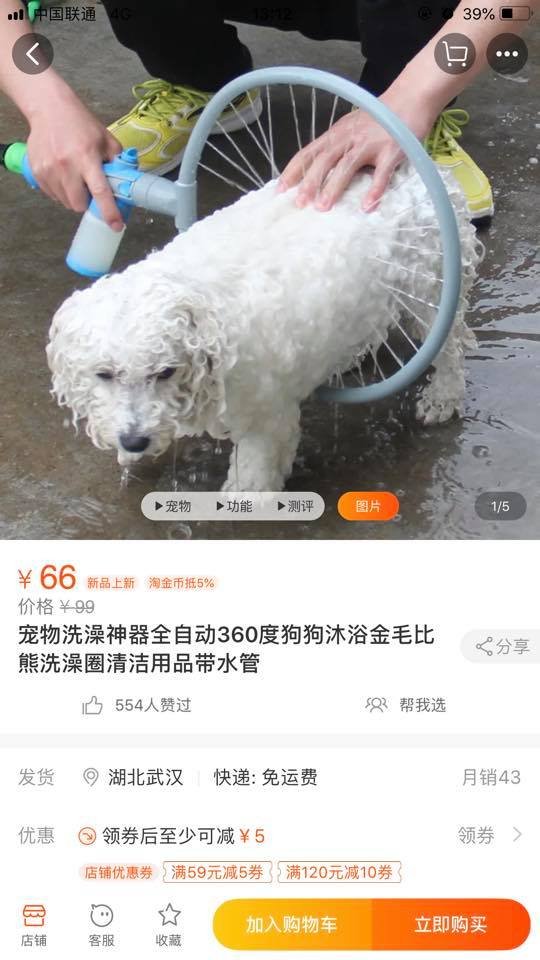 Ваш собака буде в шоці