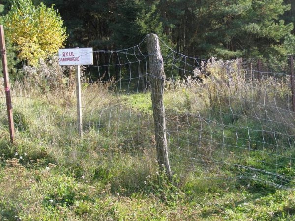 Волинському депутату-бізнесмену заважає дитяча база, - директор Центру туризму. ФОТО