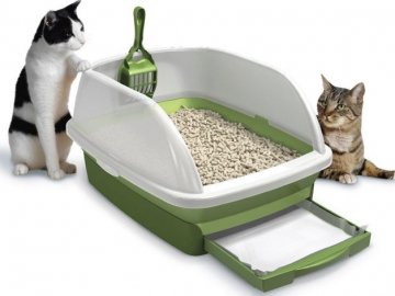 Як вибрати і використовувати туалет для котів*