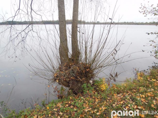 Безлюддя і човни з водою: волинське озеро восени. ФОТО