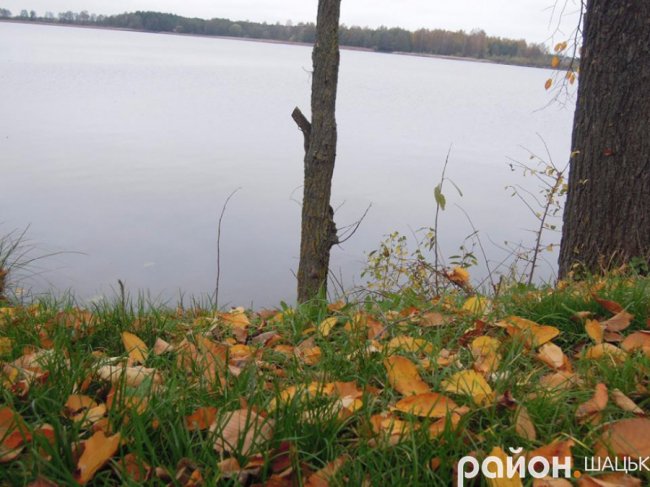 Безлюддя і човни з водою: волинське озеро восени. ФОТО