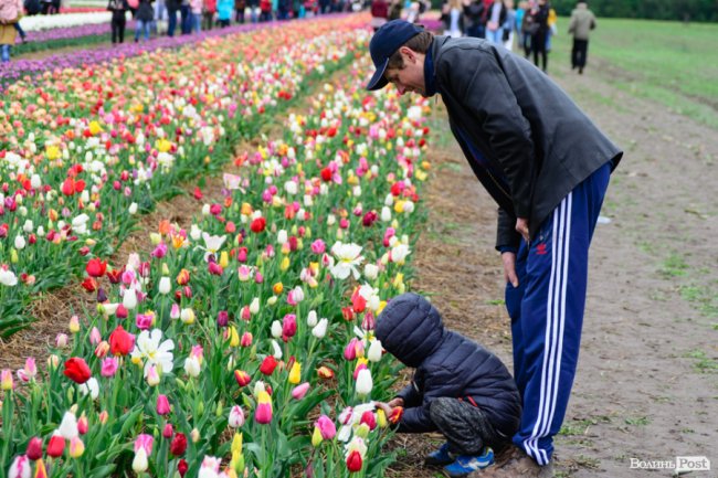 Попри негоду «Волинська Голландія» гостинно зустрічає гостей. ФОТО