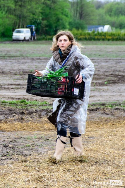 Попри негоду «Волинська Голландія» гостинно зустрічає гостей. ФОТО