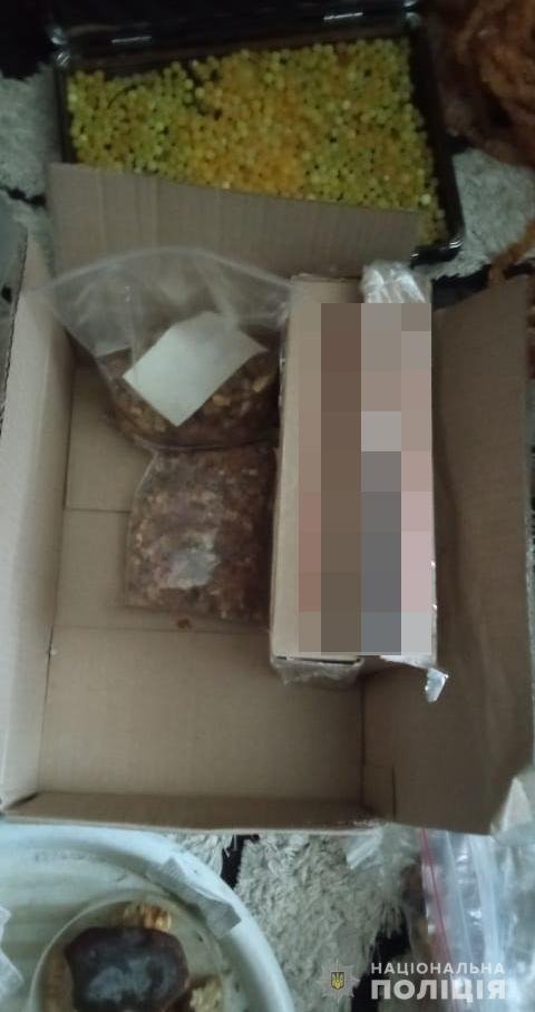 У молодого волинянина вилучили 10 кг «сонячного каміння» та виробів з нього. ФОТО