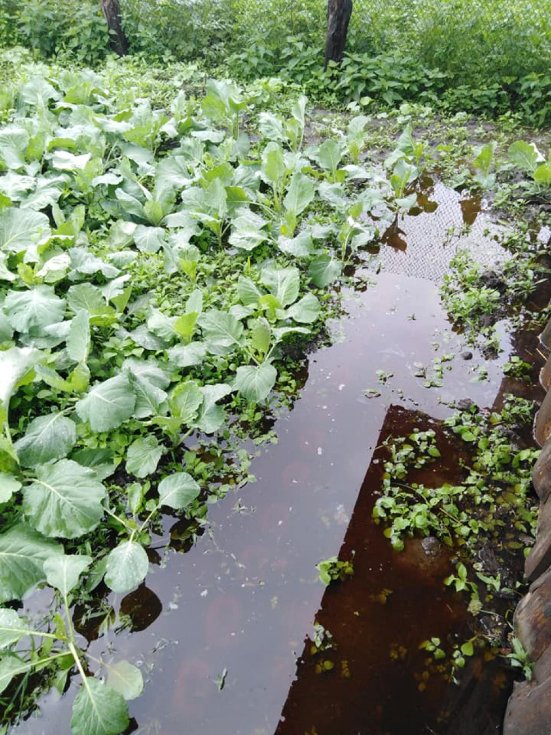 У Шацькому районі негода наробила багато лиха. ФОТО  