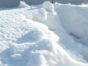 Розповіли подробиці смерті волинянки, замерзлої у заметі