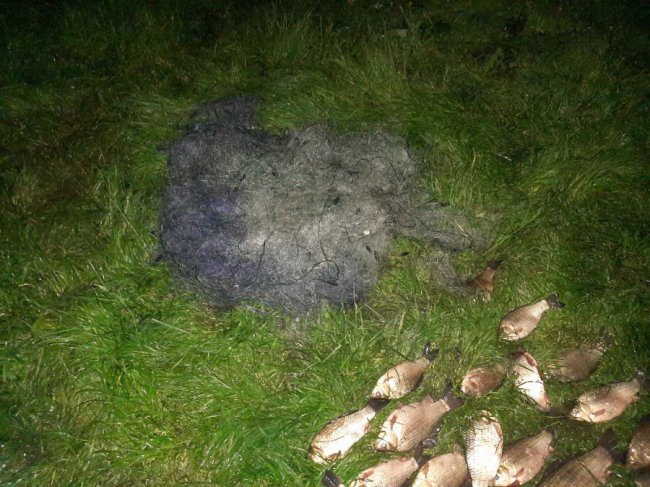 На Волині «на гарячому» спіймали браконьєрів, які з човна ловили рибу сітками. ФОТО