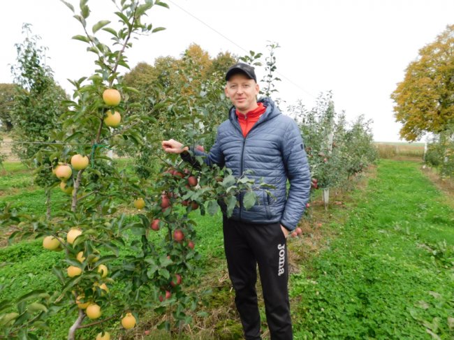 Волинянин вирощує сорт полуниці, яка плодоносить аж до приморозків. ФОТО