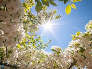 Погода в Луцьку та Волинській області на вихідні, 12 і 13 травня