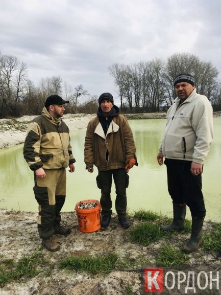 Коропи, товстолоби, карасі: на Волині у водойми випустили чимало риби
