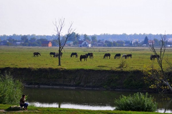 «Бабине літо» і «бебі-бум» Луцьку. ФОТО