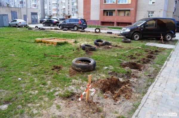 Лучани «воюють» за територію: одні садять дерева, а хтось їх ламає 