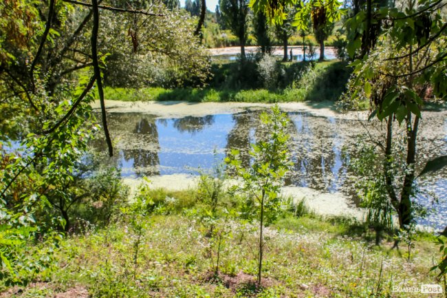 Безіменна вулиця і неназваний ставок: чим особливий неквапливий Вишків. ФОТО
