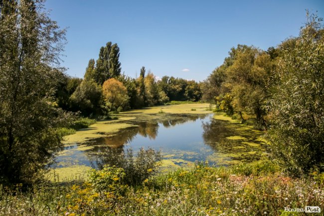 Безіменна вулиця і неназваний ставок: чим особливий неквапливий Вишків. ФОТО