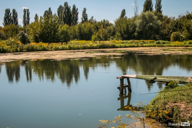 Безіменна вулиця і неназваний ставок: чим особливий неквапливий Вишків. ФОТО