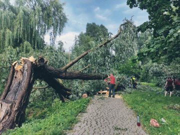 На Волині негода поламала дерева, пошкодила дахи, балкони, лінії електропередач