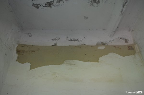 У Луцькому парку санітарна проблема: єдиний туалет нагадує кімнату жахів. ФОТО