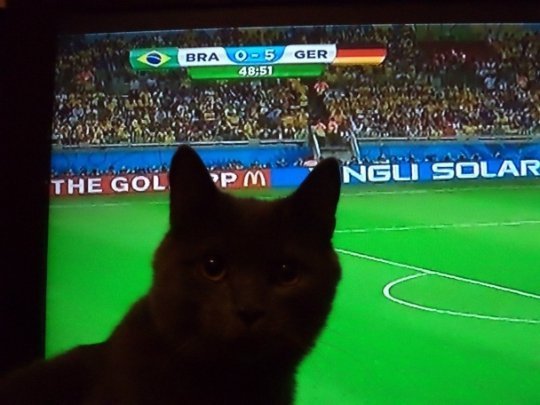 А німці розуміються в порно, − фотожаби на провальний матч Бразилії