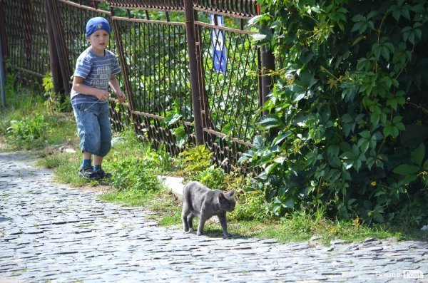 Фотопогляд: старий Луцьк 