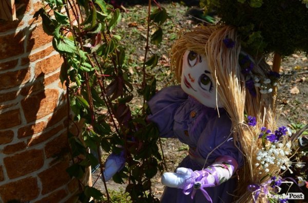 Свято квітів у Луцьку. ФОТО