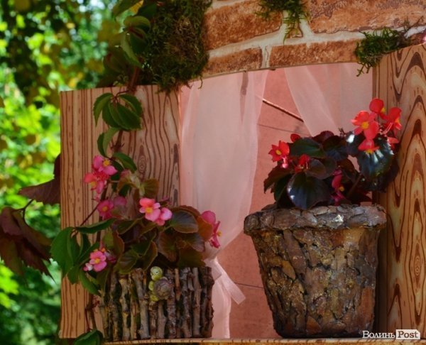 Свято квітів у Луцьку. ФОТО