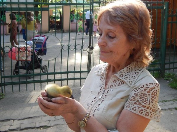 У Луцькому зоопарку звели «Ноєв ковчег». ФОТО